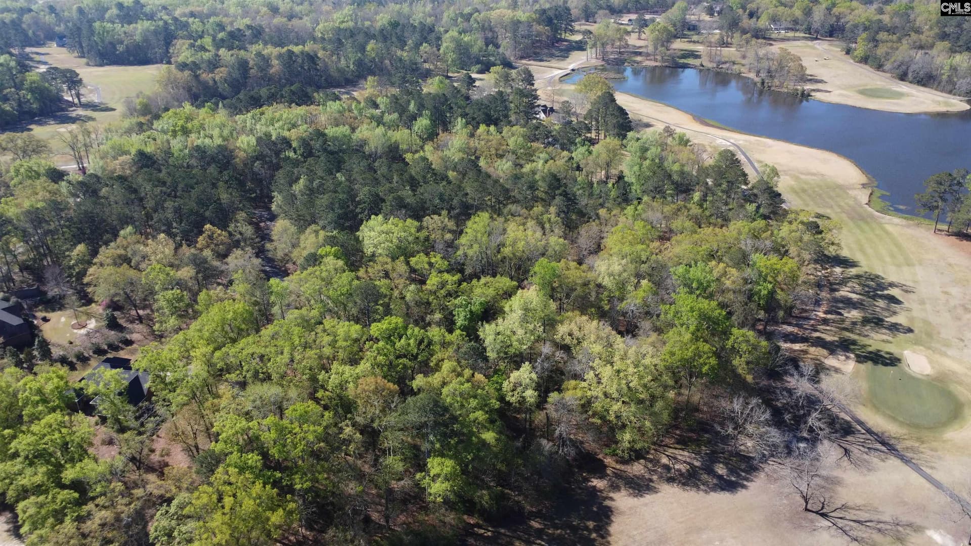 Property image 4 at 0 Gin Branch Circle, Leesville, SC 29070