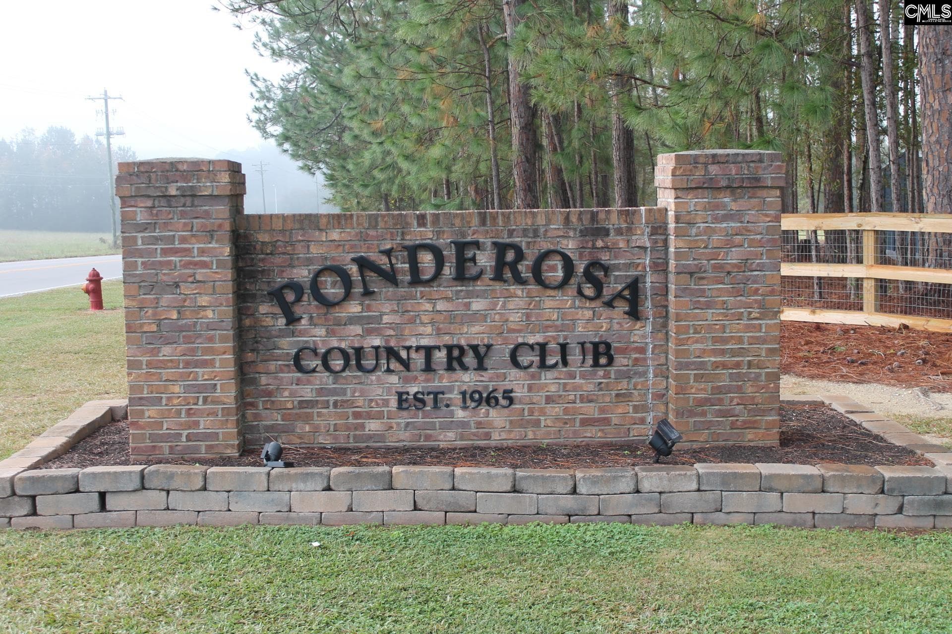 Property image 1 at 0 Durango Drive, Leesville, SC 29070