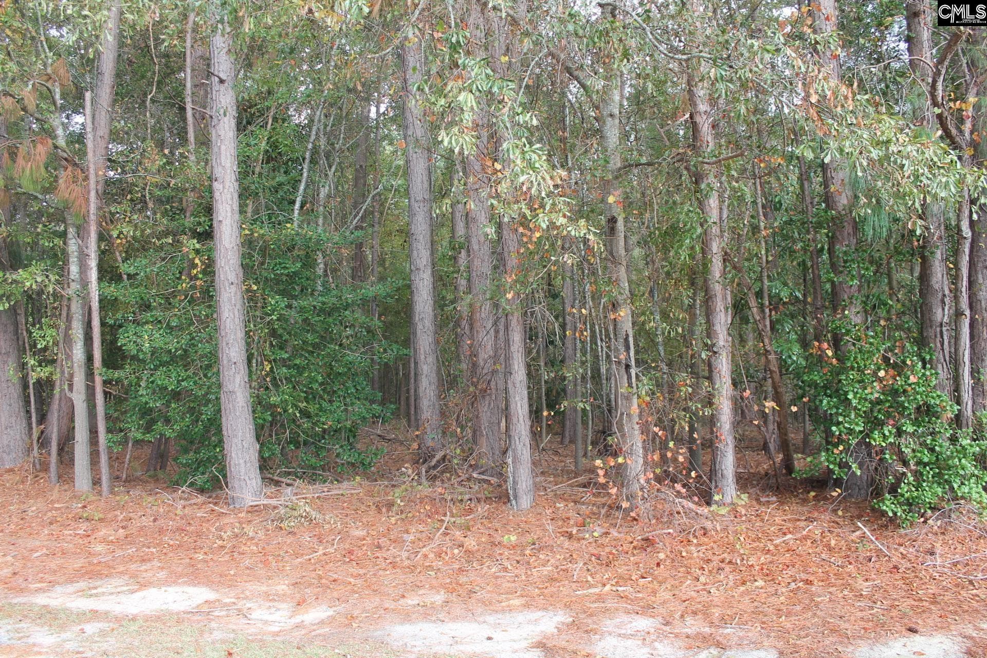 Property image 2 at 0 Durango Drive, Leesville, SC 29070