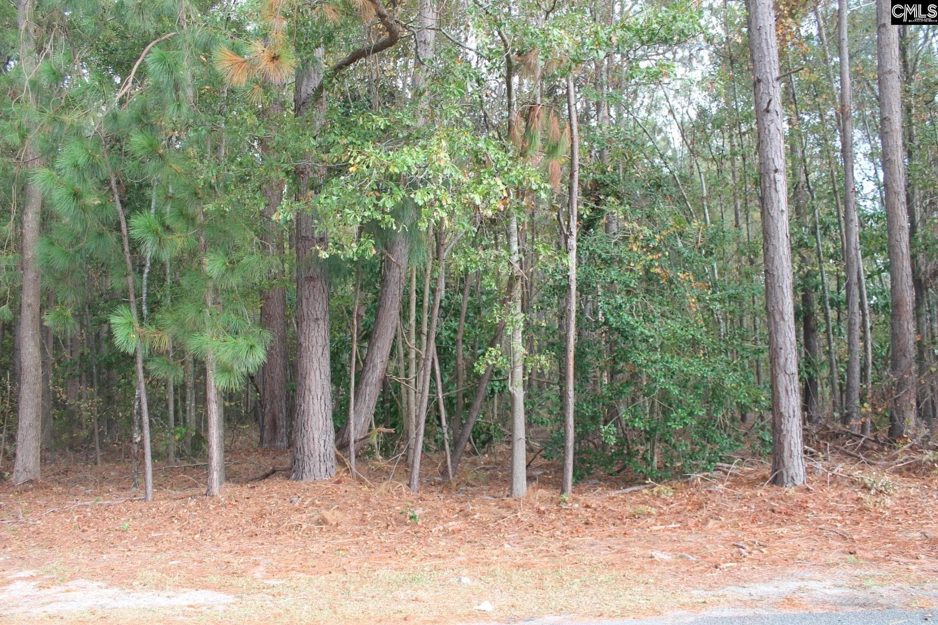 Property image 3 at 0 Durango Drive, Leesville, SC 29070