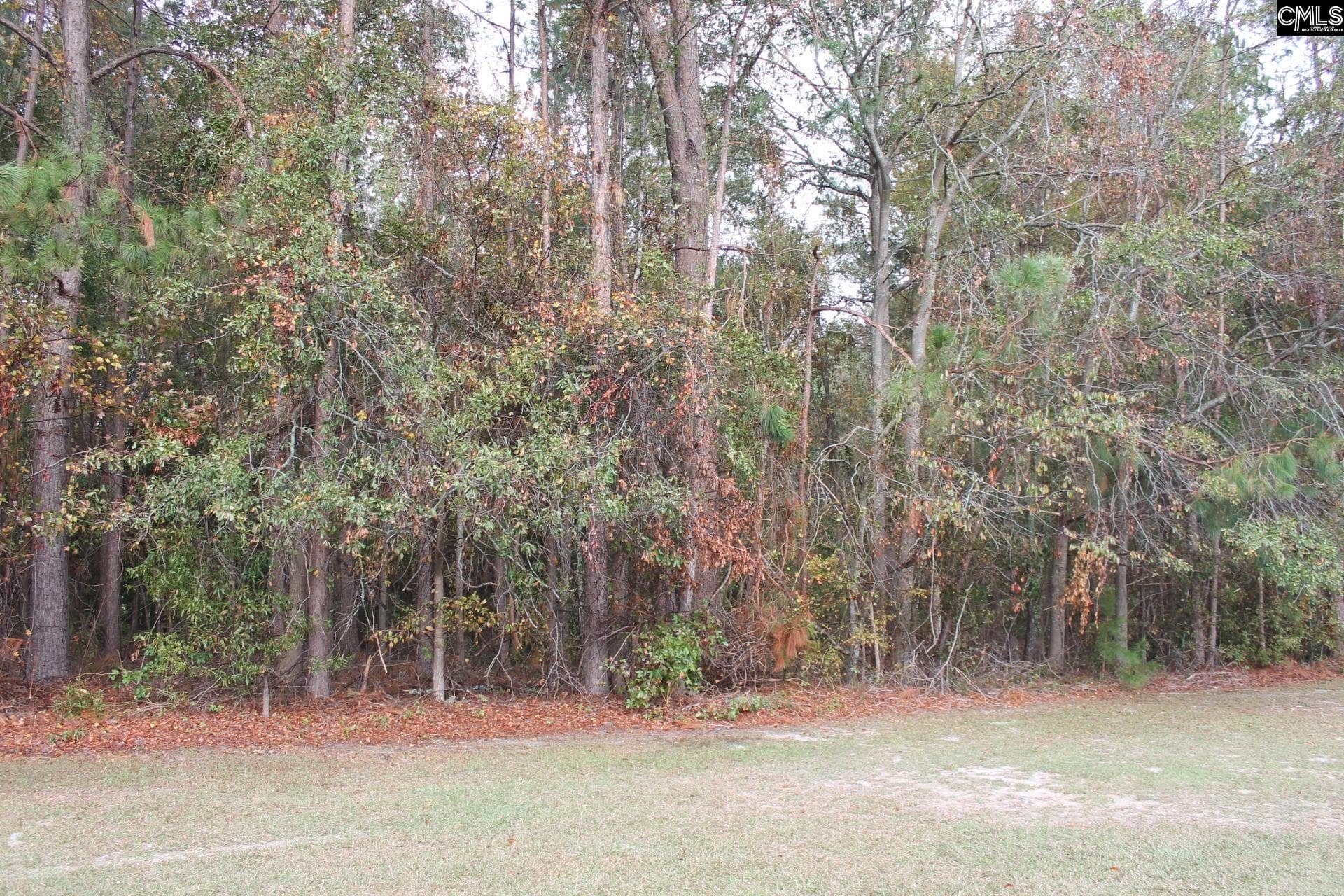 Property image 4 at 0 Durango Drive, Leesville, SC 29070