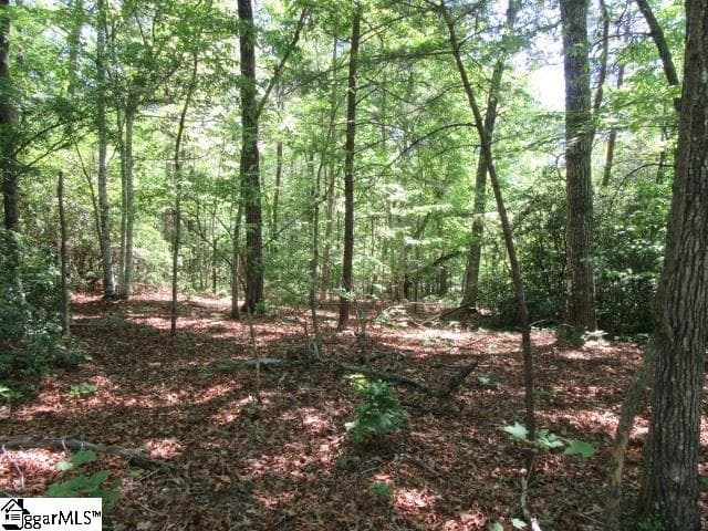 Property image 1 at 175 Cherokee Hills Drive, Pickens, SC 29671