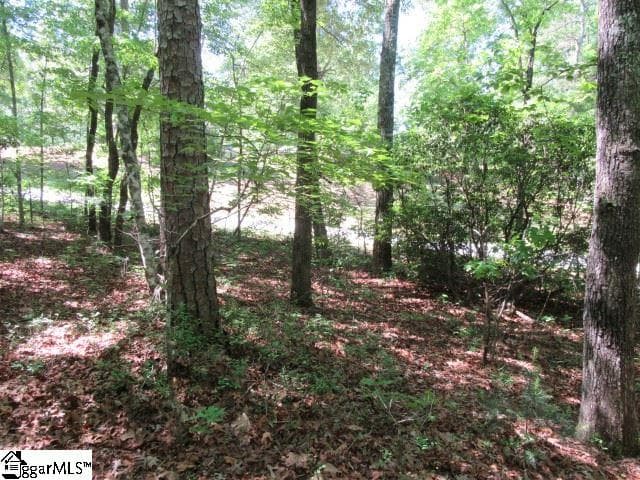 Property image 2 at 175 Cherokee Hills Drive, Pickens, SC 29671