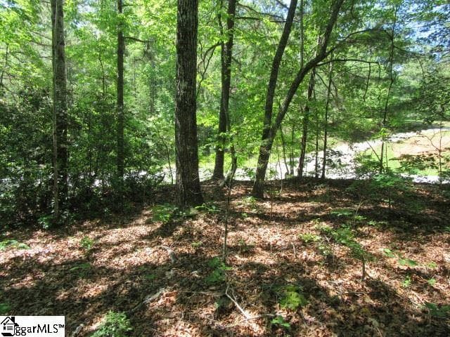 Property image 3 at 175 Cherokee Hills Drive, Pickens, SC 29671