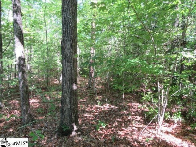 Property image 4 at 175 Cherokee Hills Drive, Pickens, SC 29671