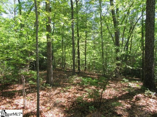 Property image 5 at 175 Cherokee Hills Drive, Pickens, SC 29671