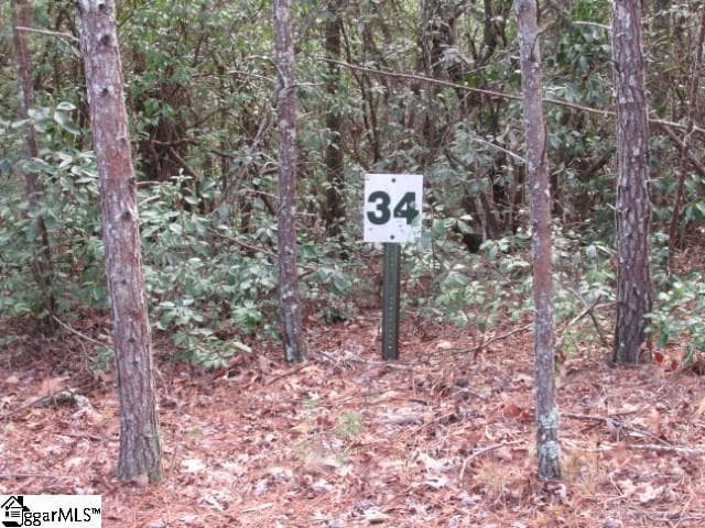 Matthews Creek