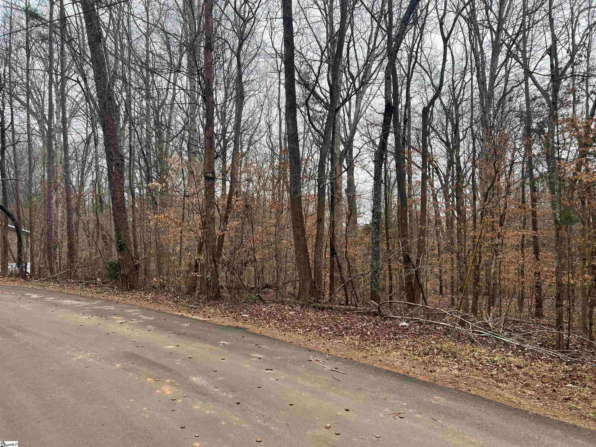 Property image 2 at 00 Aragon Street, Piedmont, SC 29673