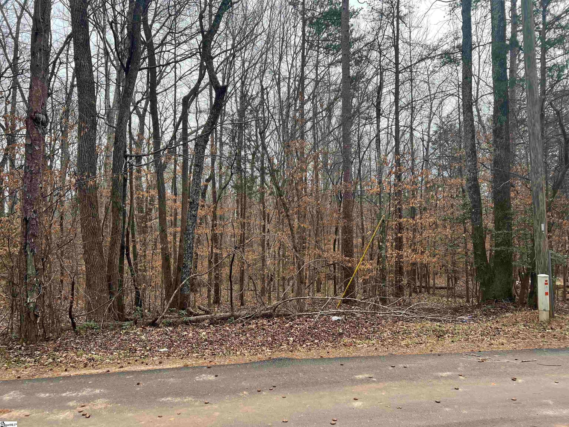 Property image 4 at 00 Aragon Street, Piedmont, SC 29673