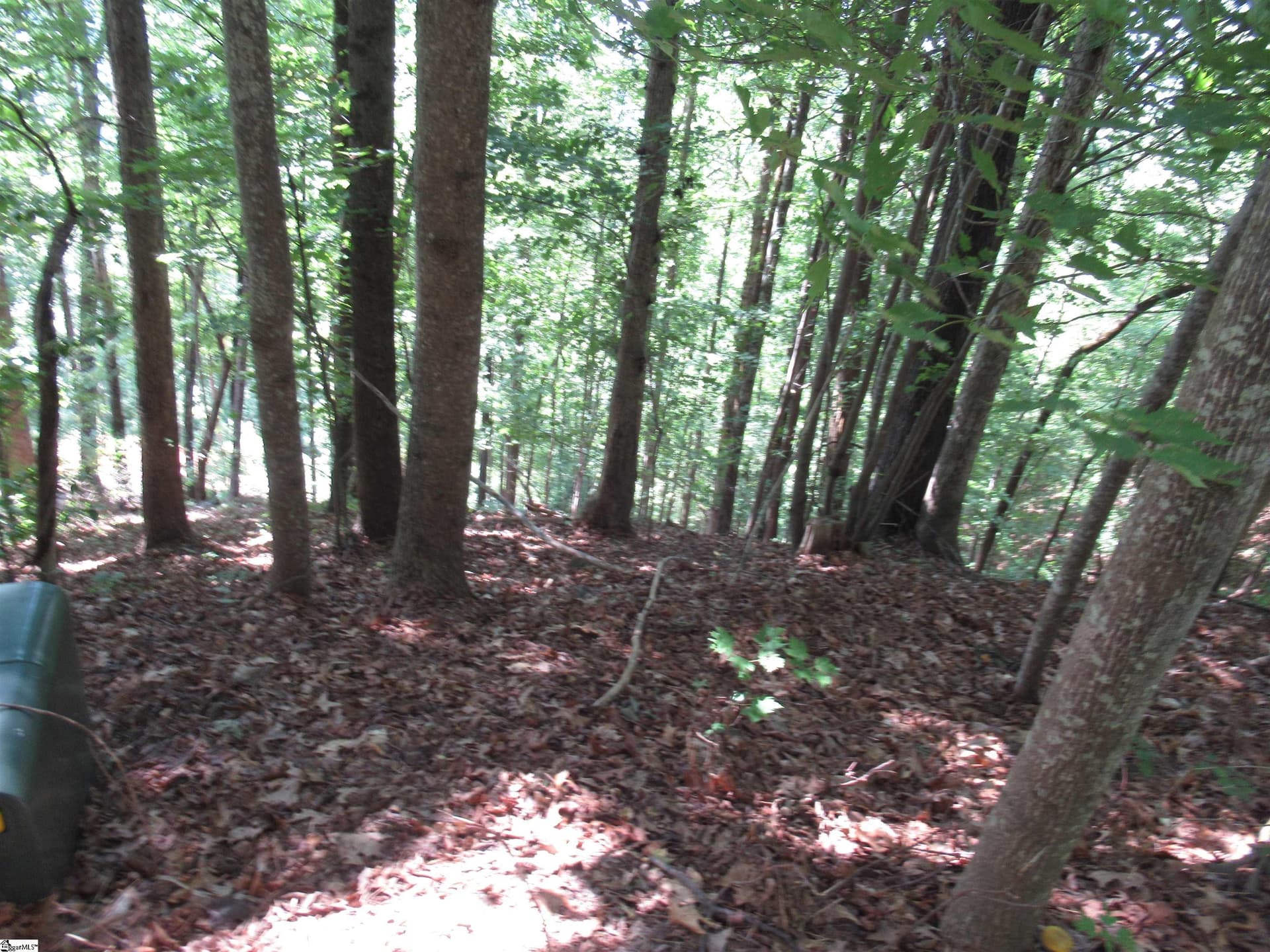 Property image 1 at 808 Whispering Falls Drive, Pickens, SC 29671