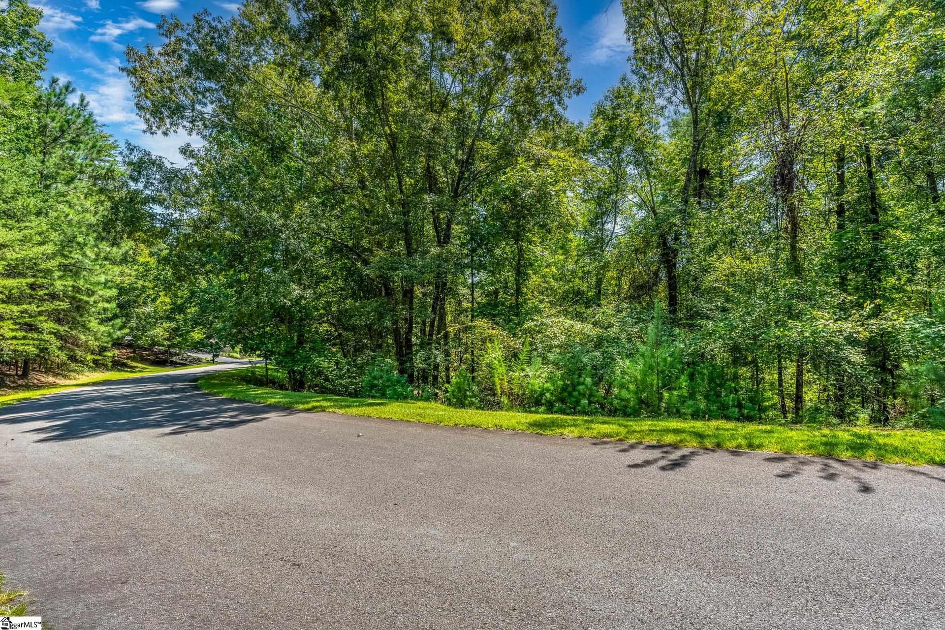 111 Sweetshrub Way