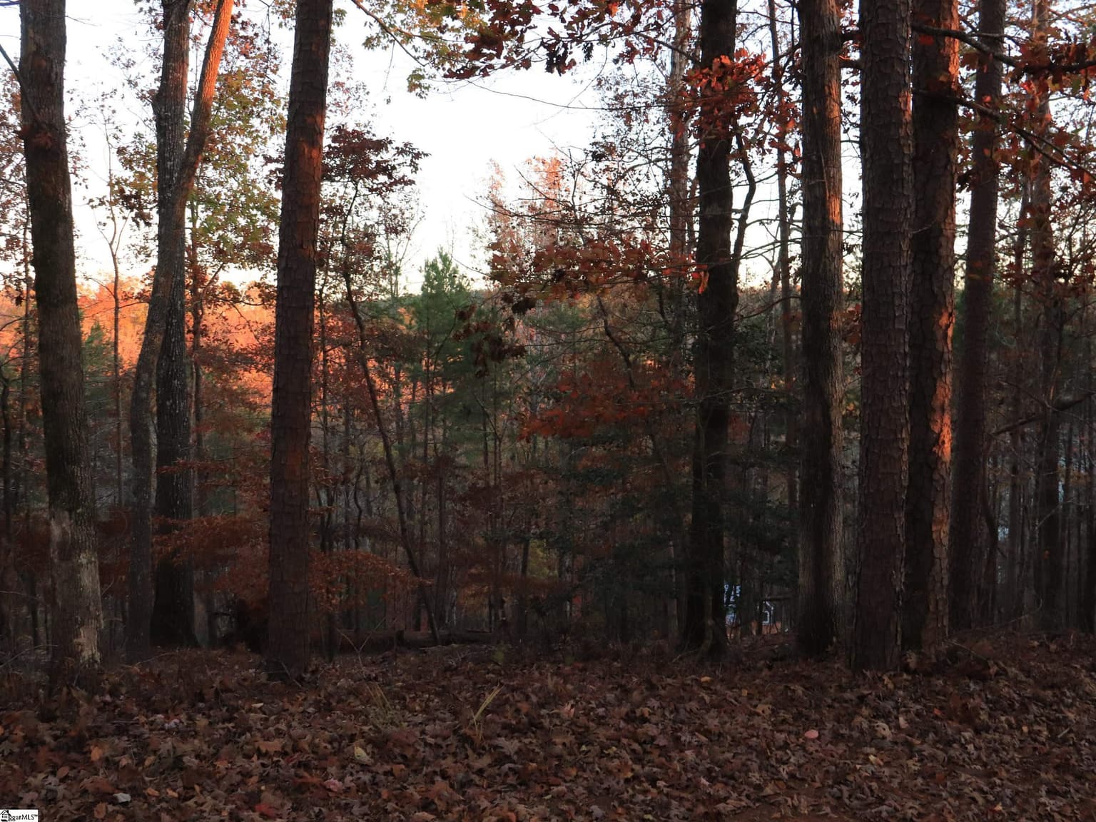 Cedar Creek (Keowee)