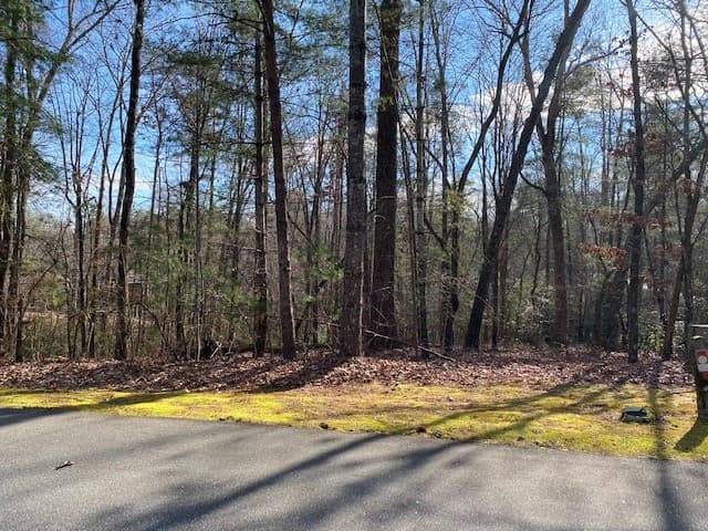 Property image 3 at Lot 39 Turtlehead Drive, Salem, SC 29676
