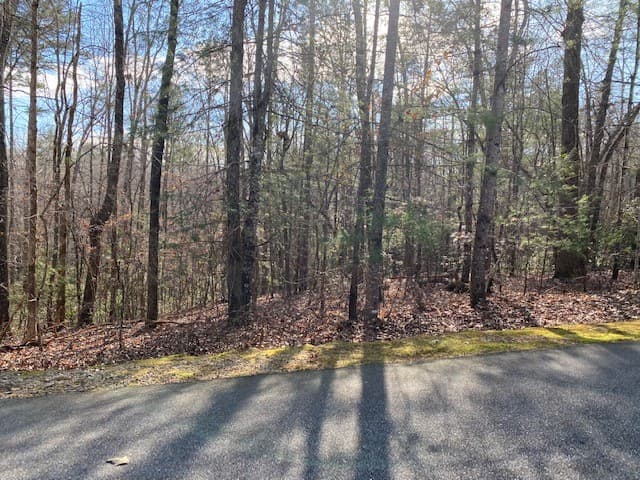 Property image 4 at Lot 39 Turtlehead Drive, Salem, SC 29676