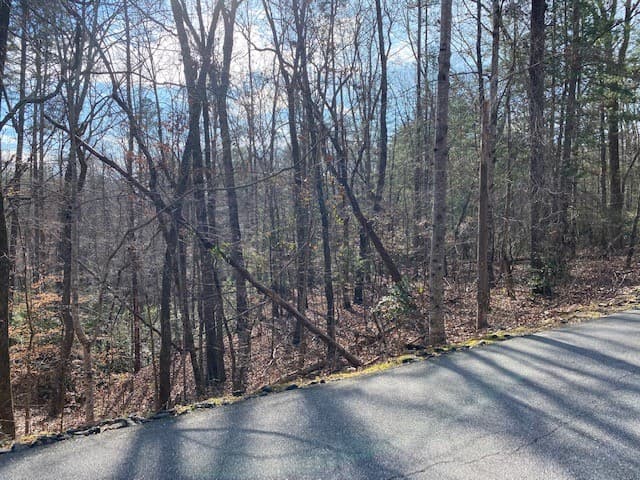 Property image 5 at Lot 39 Turtlehead Drive, Salem, SC 29676