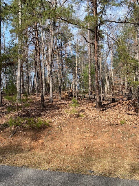 Property image 3 at Lot 45 Turtlehead Drive, Salem, SC 29676