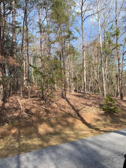 Property image 4 at Lot 45 Turtlehead Drive, Salem, SC 29676