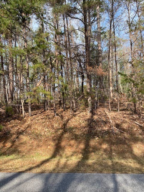 Property image 5 at Lot 45 Turtlehead Drive, Salem, SC 29676