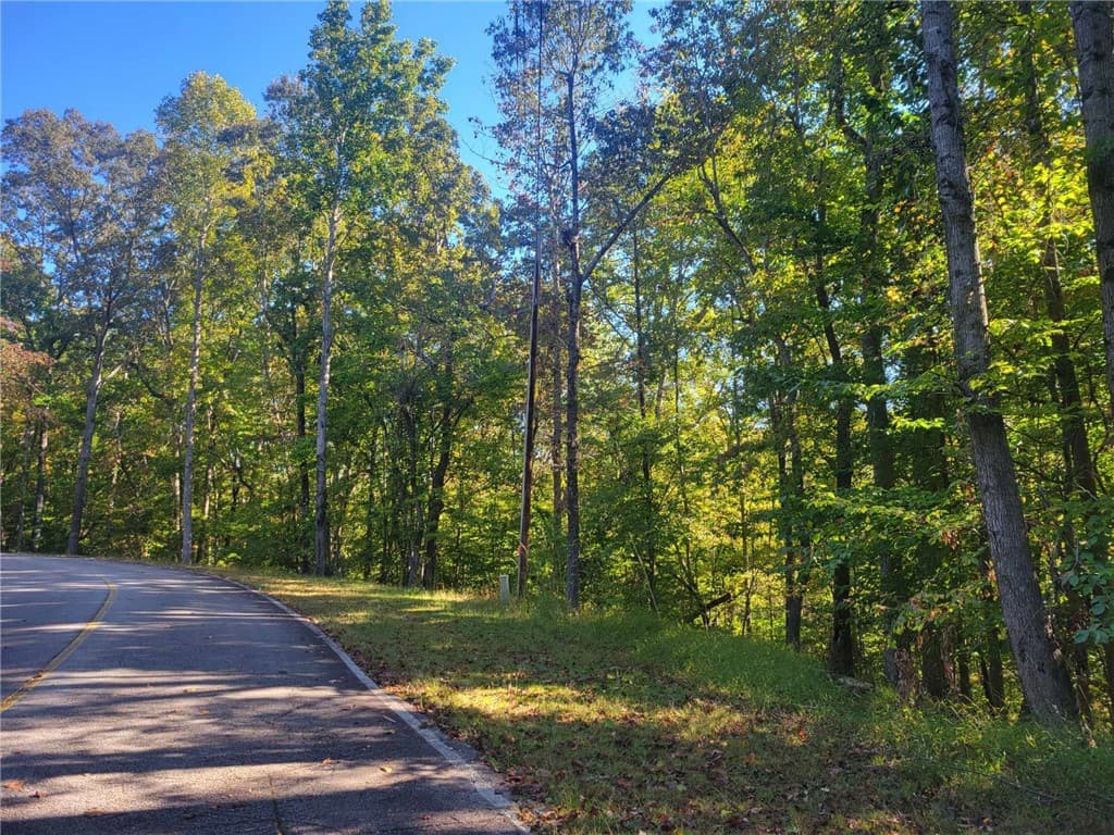 Property image 3 at Lot 228 Boxwood Lane, Westminster, SC 29693