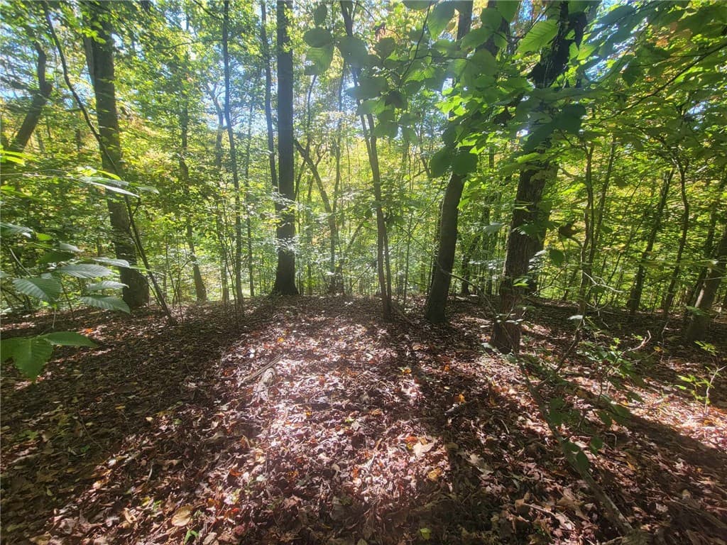 Property image 4 at Lot 228 Boxwood Lane, Westminster, SC 29693