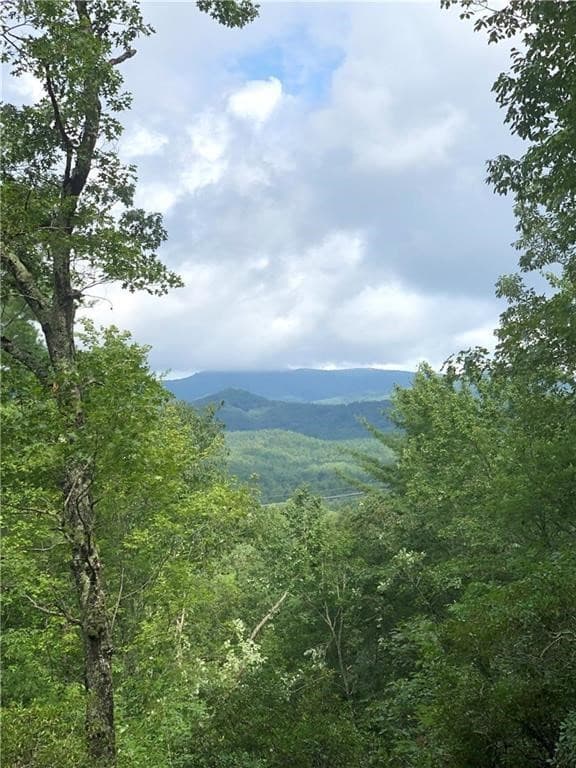 113 White Tree Ridge