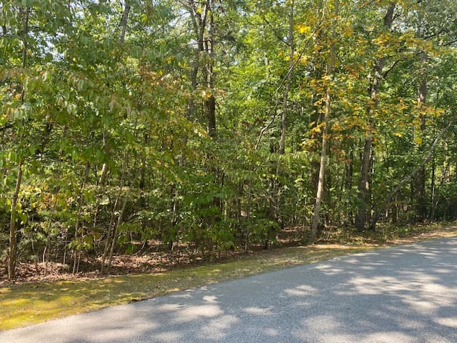 Property image 1 at 00 Turtlehead Drive, Salem, SC 29676
