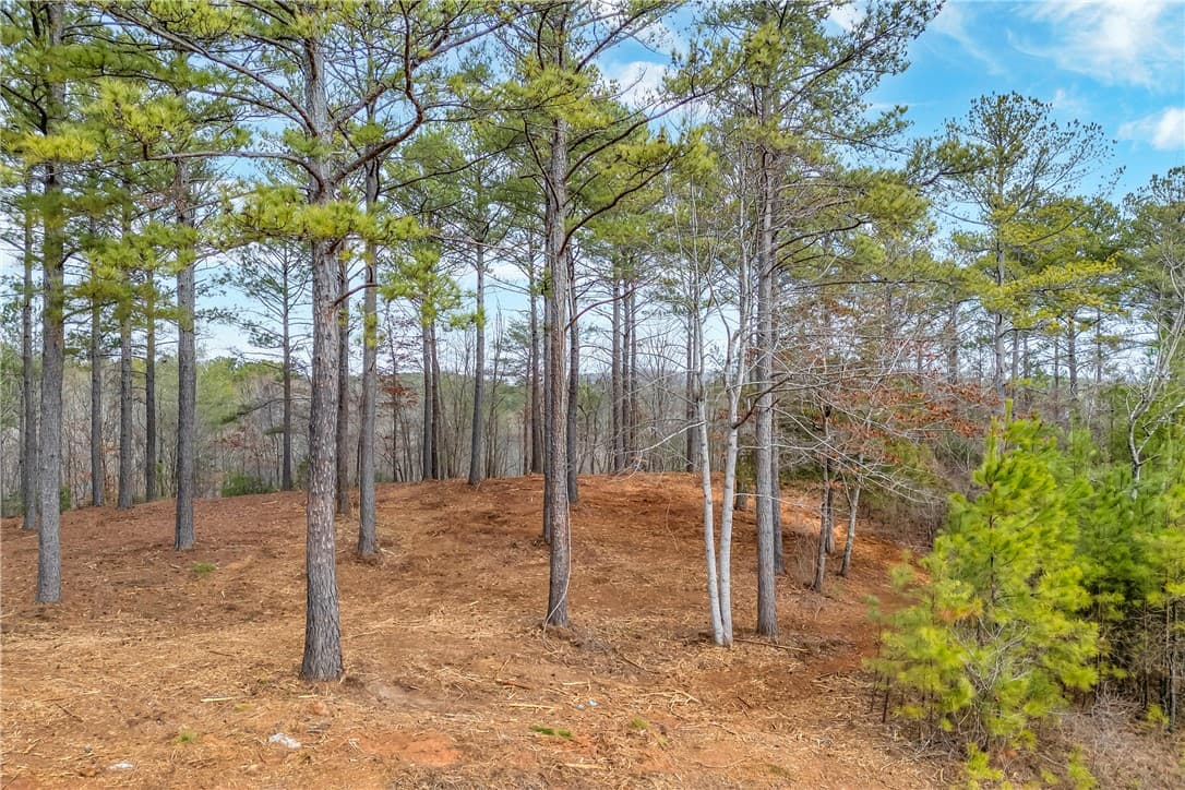 321 Golden Bear Drive