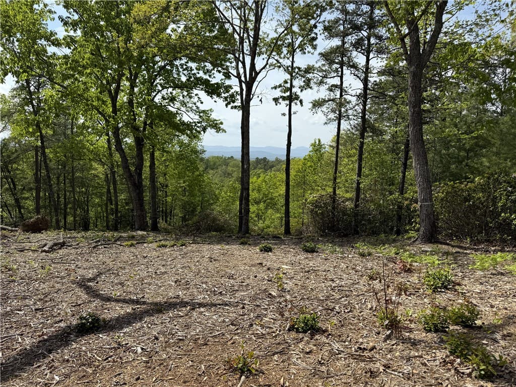 105 Parkview Lane