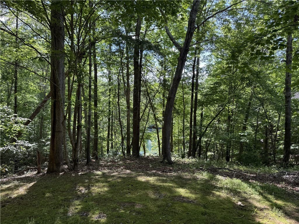 601 Wind Flower Drive