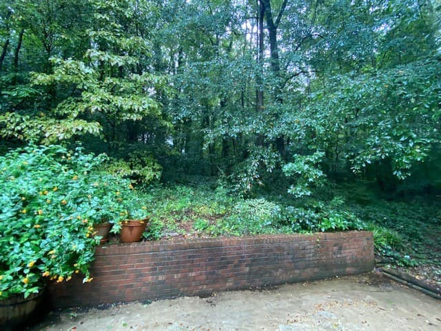 Property image 5 at 311 Lancelot Drive, Clemson, SC 29631