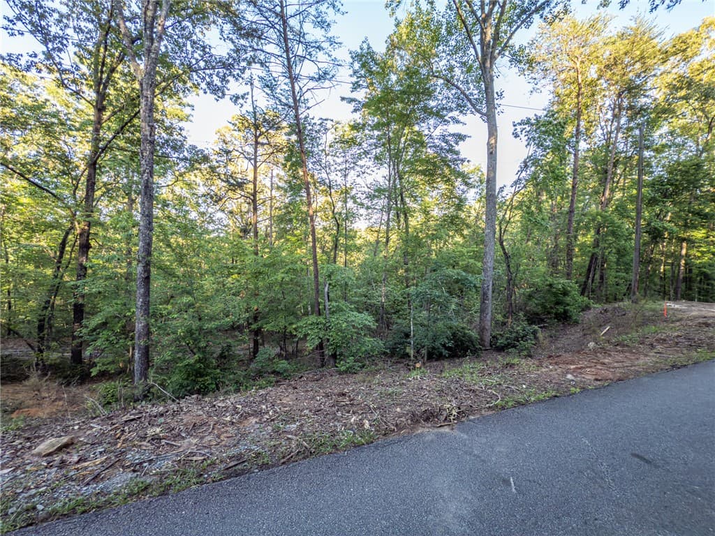 Property image 1 at Lot 23 Old Shallowford Bridge Road, Sunset, SC 29685