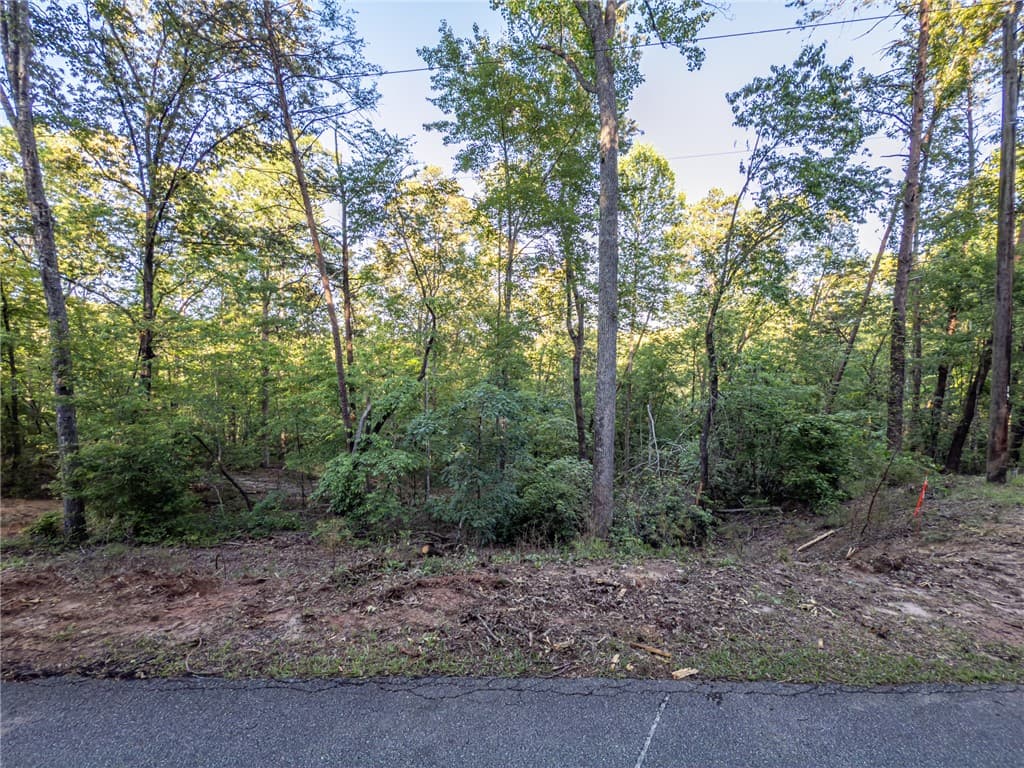 Property image 2 at Lot 23 Old Shallowford Bridge Road, Sunset, SC 29685