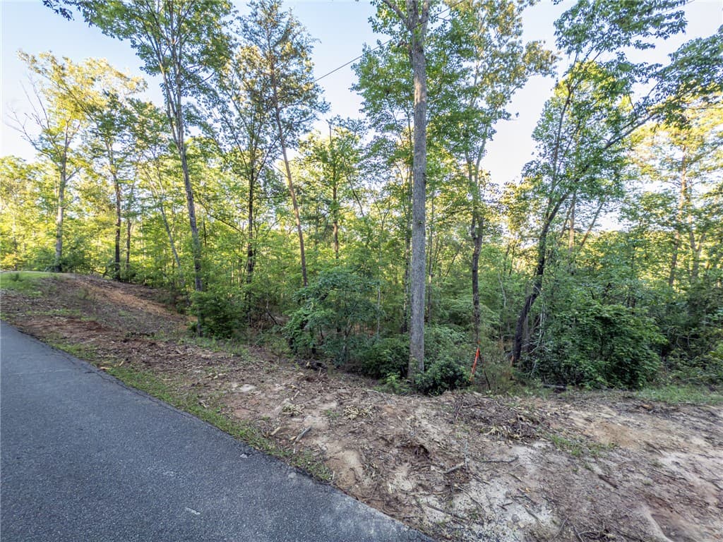 Property image 3 at Lot 23 Old Shallowford Bridge Road, Sunset, SC 29685