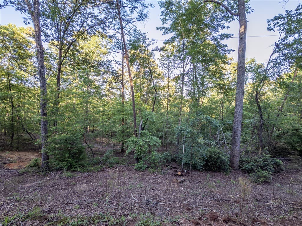 Property image 4 at Lot 23 Old Shallowford Bridge Road, Sunset, SC 29685
