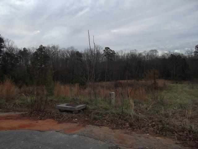 Property image 2 at 102 Brook Way, Liberty, SC 29657