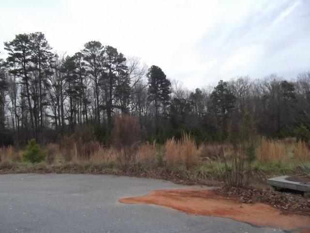Property image 3 at 102 Brook Way, Liberty, SC 29657