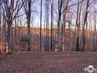 Property image 2 at 503 Queen Annes Lane, Seneca, SC 29672-9413