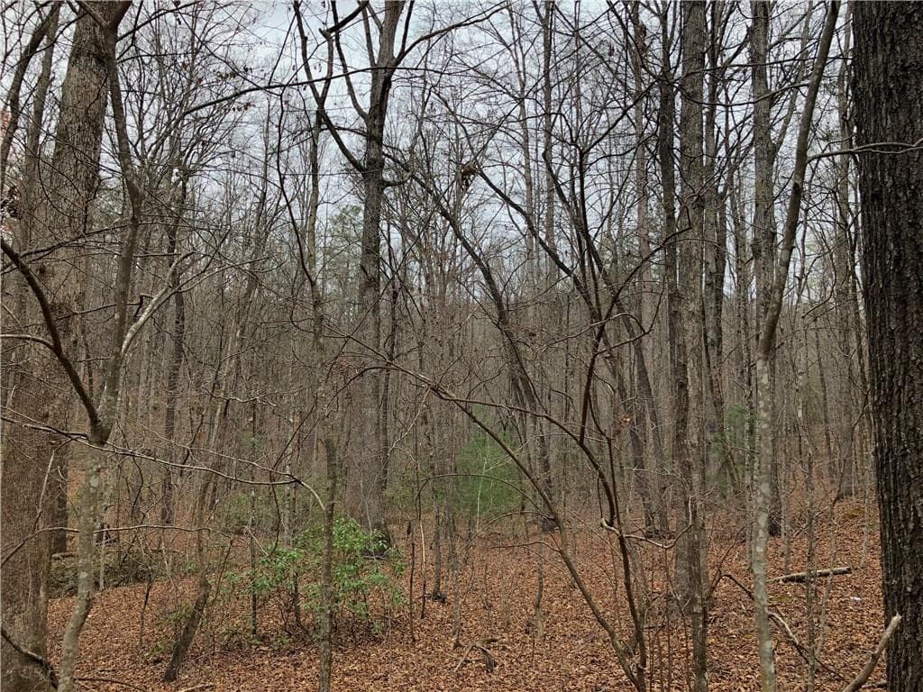 Property image 5 at 159 Shepherd Springs Drive, Cleveland, SC 29635