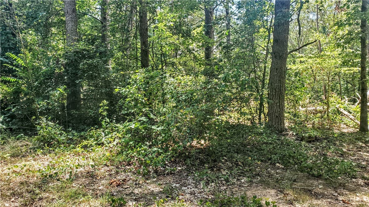 Property image 4 at 103 Benjamin Drive, Townville, SC 29689