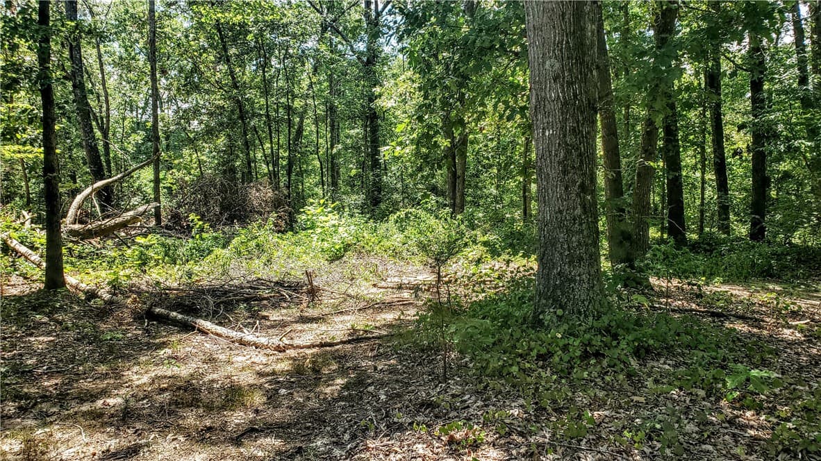 Property image 5 at 103 Benjamin Drive, Townville, SC 29689