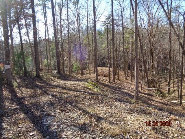 Property image 5 at 112 Running Bear Lane, Sunset, SC 29685